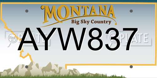 AYW837 Montana License Plate