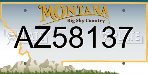 AZ58137 Montana License Plate