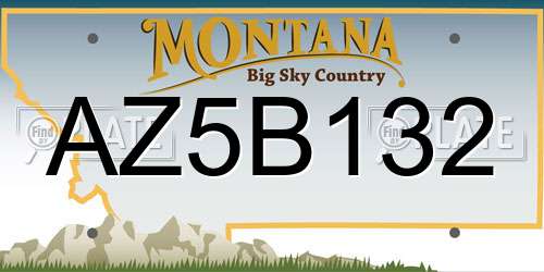 AZ5B132 Montana License Plate