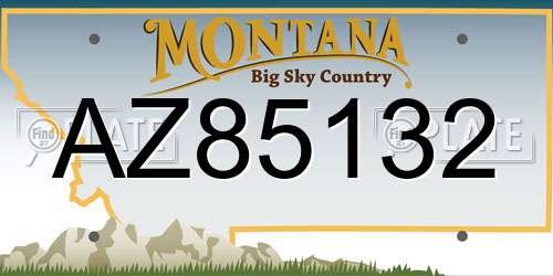 AZ85132 Montana License Plate