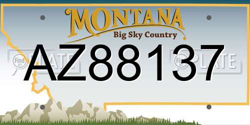 AZ88137 Montana License Plate