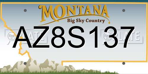 AZ8S137 Montana License Plate