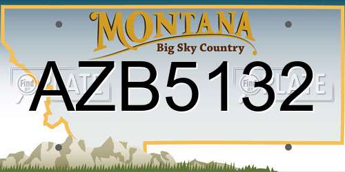 AZB5132 Montana License Plate
