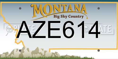 AZE614 Montana License Plate