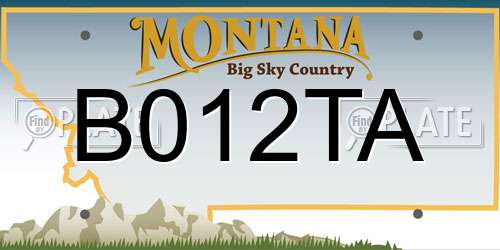 B012TA Montana License Plate