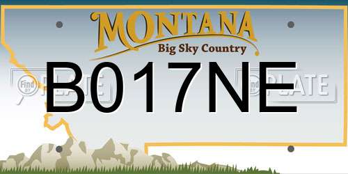 B017NE Montana License Plate