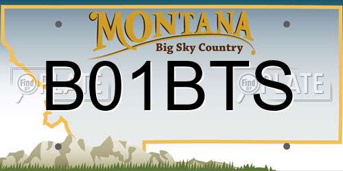 B01BTS Montana License Plate