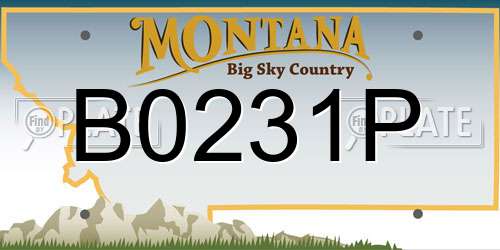 B0231P Montana License Plate
