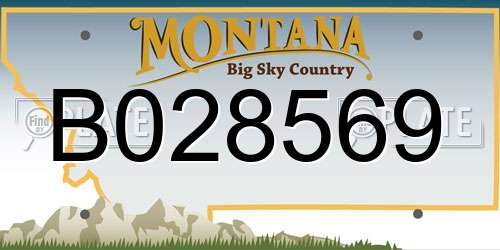 B028569 Montana License Plate