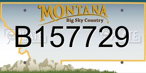 B157729 Montana License Plate