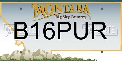 B16PUR Montana License Plate