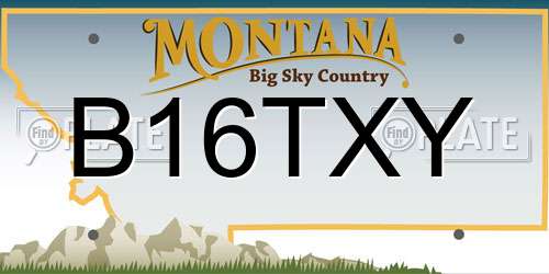 B16TXY Montana License Plate