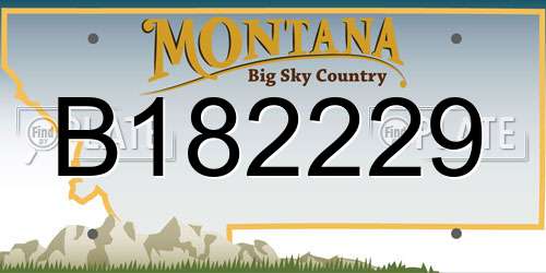 B182229 Montana License Plate