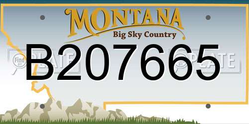 B207665 Montana License Plate