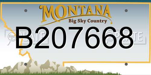 B207668 Montana License Plate