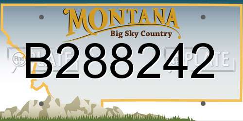 B288242 Montana License Plate