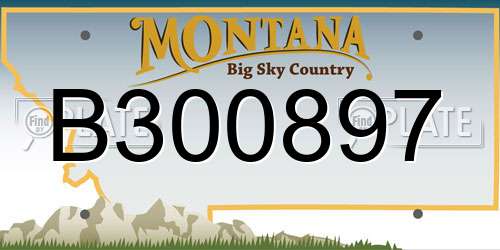 B300897 Montana License Plate