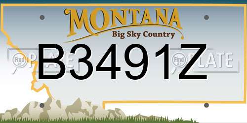 B3491Z Montana License Plate