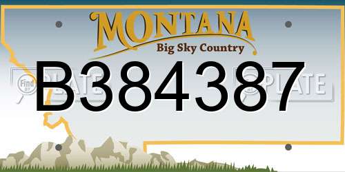 B384387 Montana License Plate