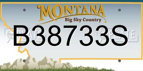 B38733S Montana License Plate