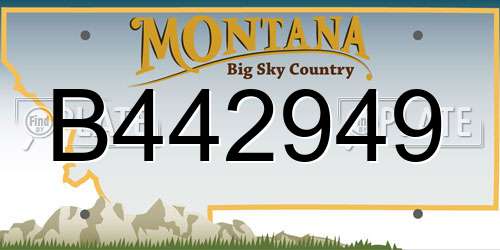 B442949 Montana License Plate