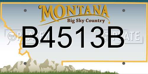 B4513B Montana License Plate