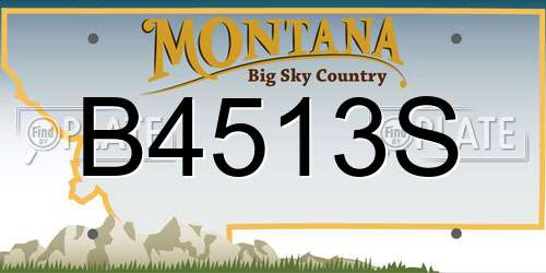 B4513S Montana License Plate