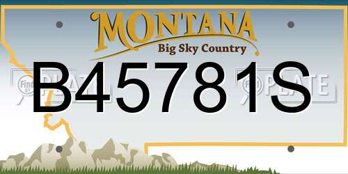 B45781S Montana License Plate