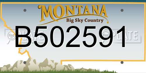 B502591 Montana License Plate