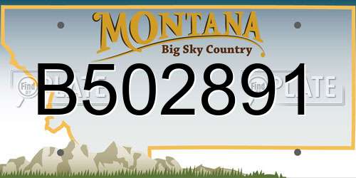 B502891 Montana License Plate