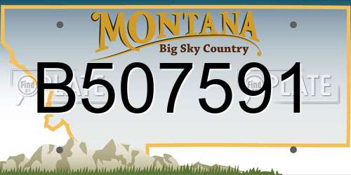 B507591 Montana License Plate