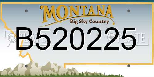 B520225 Montana License Plate