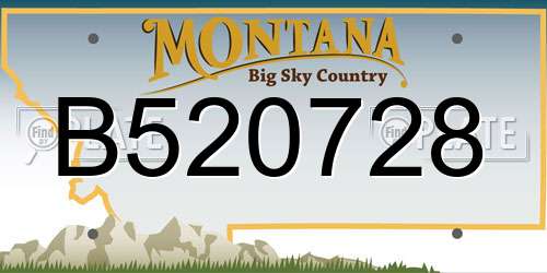 B520728 Montana License Plate