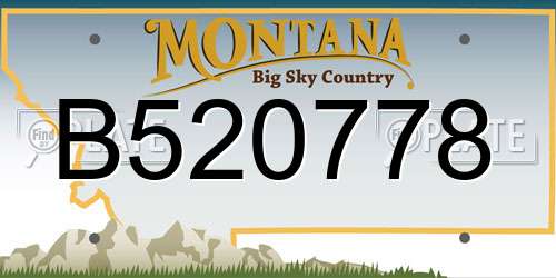 B520778 Montana License Plate