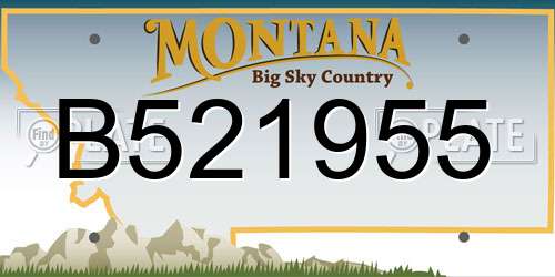 B521955 Montana License Plate