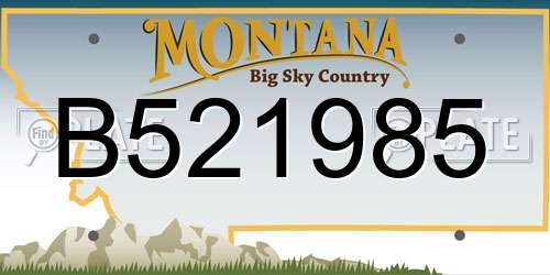 B521985 Montana License Plate