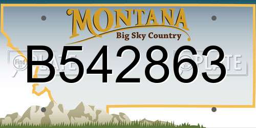 B542863 Montana License Plate