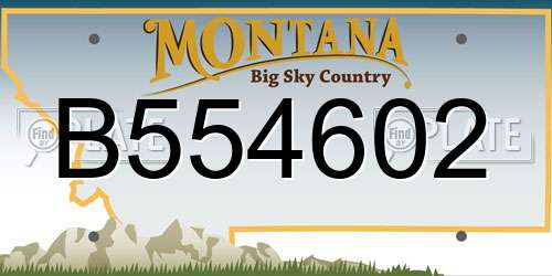 B554602 Montana License Plate