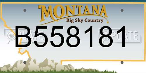 B558181 Montana License Plate
