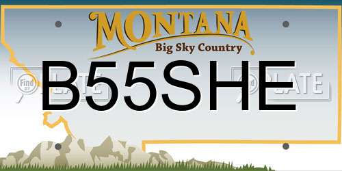 B55SHE Montana License Plate