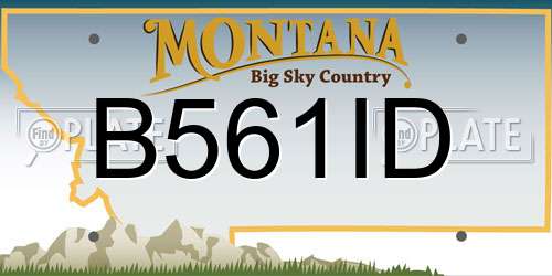 B561ID Montana License Plate