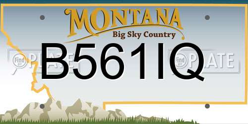 B561IQ Montana License Plate