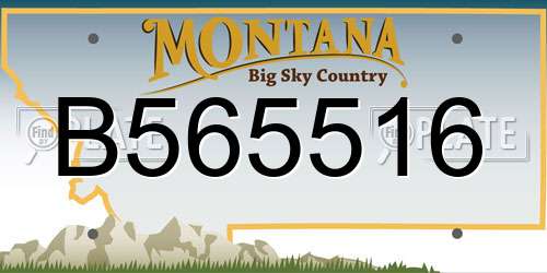 B565516 Montana License Plate