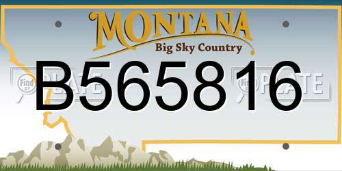 B565816 Montana License Plate