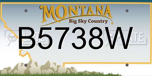 B5738W Montana License Plate