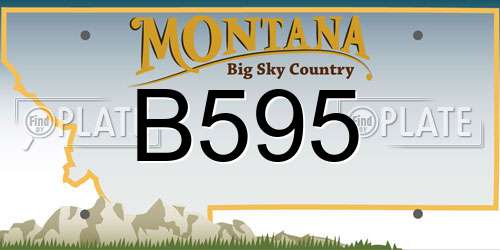 B595 Montana License Plate