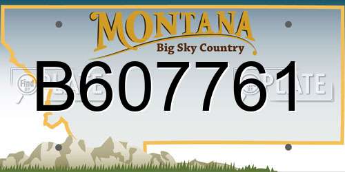 B607761 Montana License Plate
