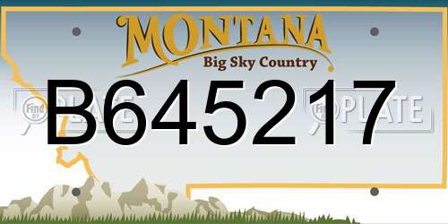 B645217 Montana License Plate