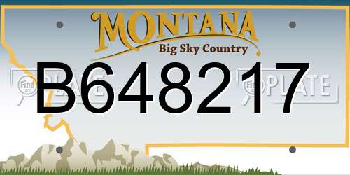 B648217 Montana License Plate