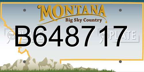 B648717 Montana License Plate